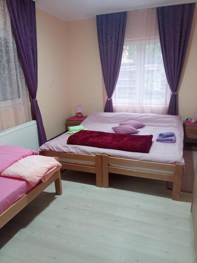 Valja Mare Moma Apartment โกลูบาค ห้อง รูปภาพ