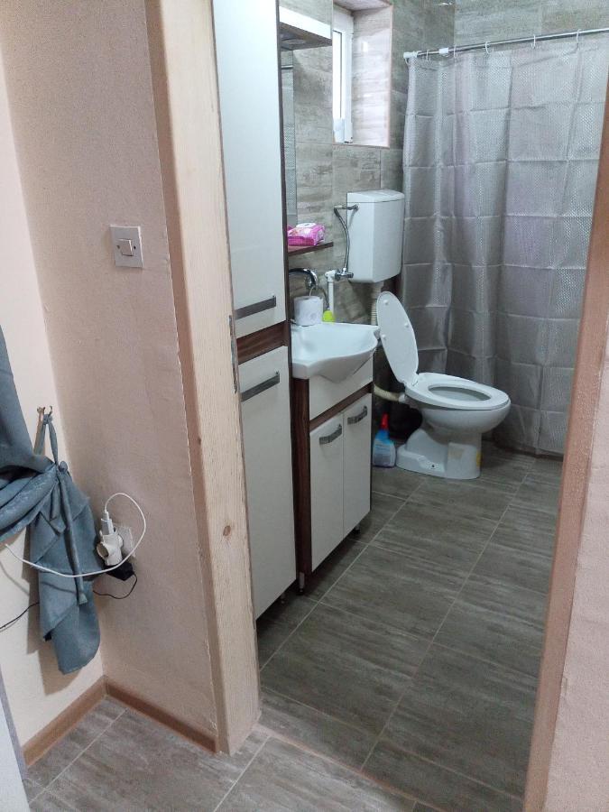 Valja Mare Moma Apartment โกลูบาค ภายนอก รูปภาพ