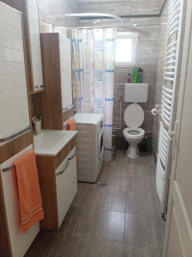 Valja Mare Moma Apartment โกลูบาค ภายนอก รูปภาพ